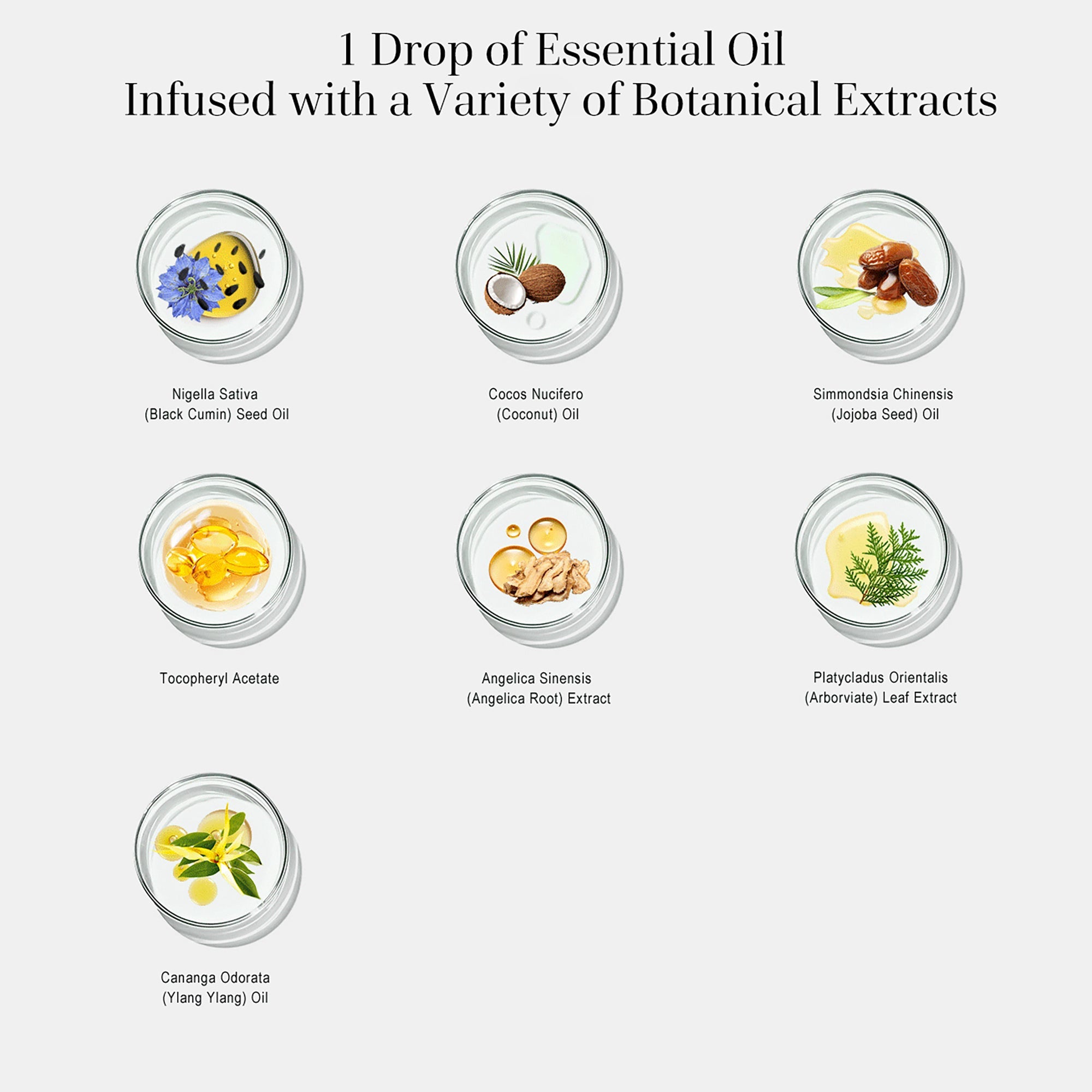 Black Cumin Seed Hair Oil(Gift Edition) - Vividreamore