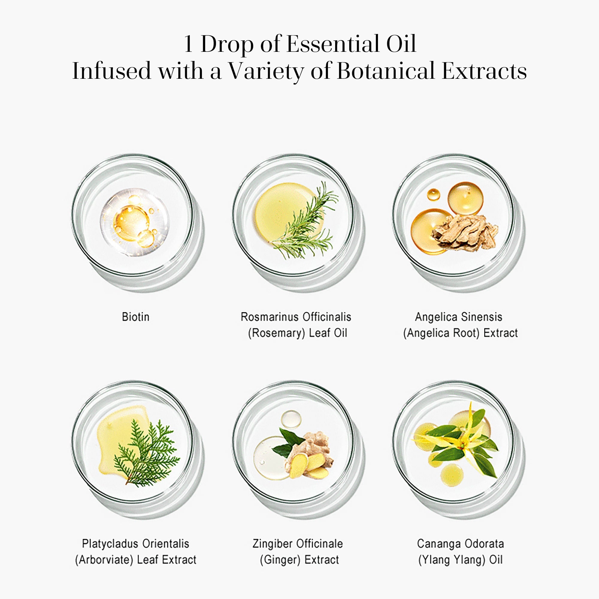 Rosemary Biotin Hair Oil(Gift Edition) - Vividreamore