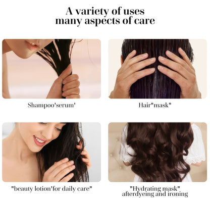 Black Cumin Seed Hair Oil（Gift Edition） - Vividreamore