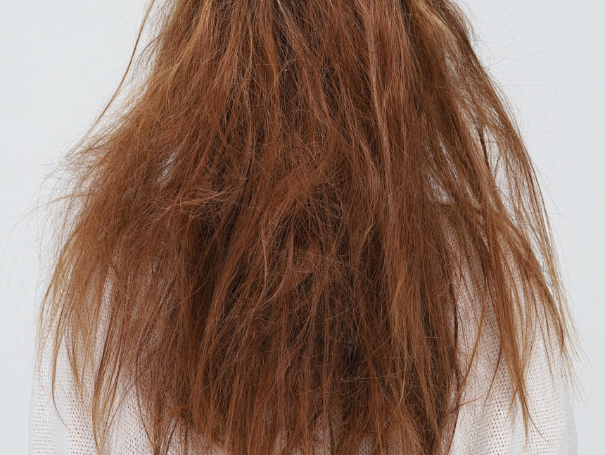 A woman with messy, frizzy hair shown from the back. Her brown hair looks dry, tangled, and lacks shine and smoothness, conveying a damaged or in-need-of-care appearance. She wears a light-colored top, with a simple background that emphasizes the texture and condition of her hair.